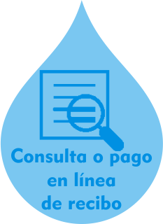 Consulta Pago Recibo En Linea